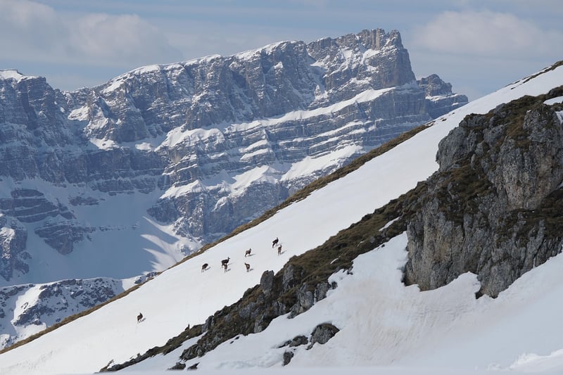 Mountain Adventure